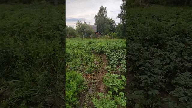 Дача в СНТ 8 марта. поселок Вяткино смотреть онлайн