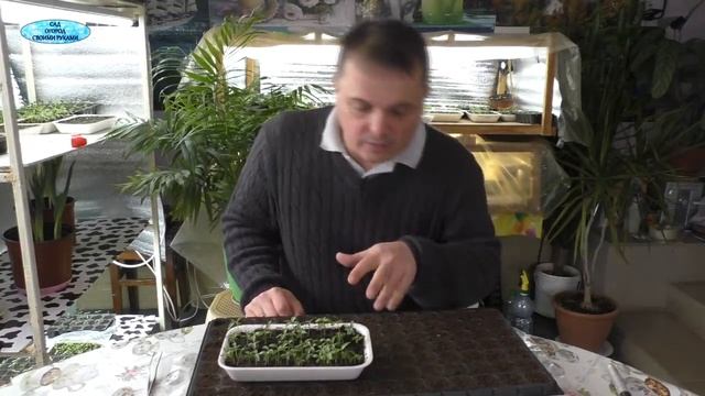 Комедийные Скетчи