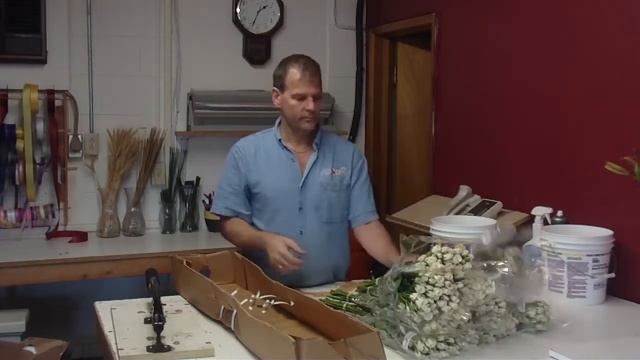 How To Prepare Rose spray White Majolica from Ecuador - lwflowers.com смотреть онлайн