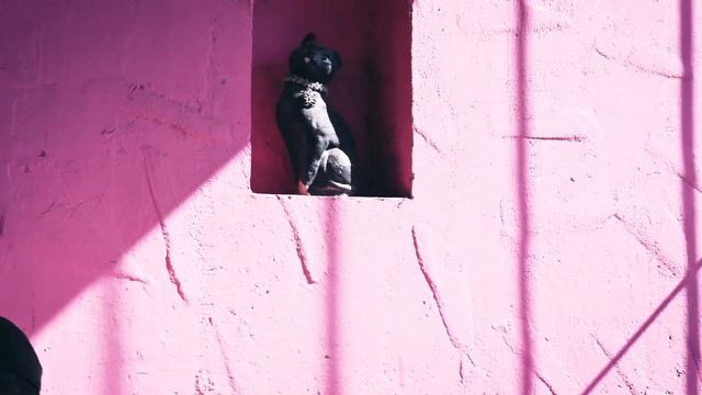 At Home With Jumprope смотреть онлайн