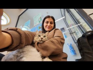 Оникса оперируют, Чак в реабилитационном центре, Тишка в Москве