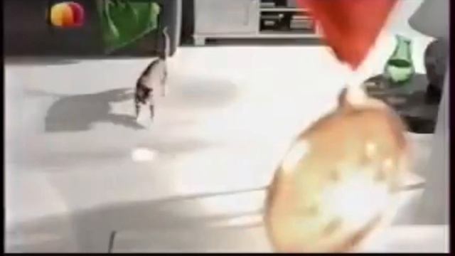 Елена Китикет (Kitekat) - Борисович еда энергичные кошек (2014) реклама смотреть онлайн