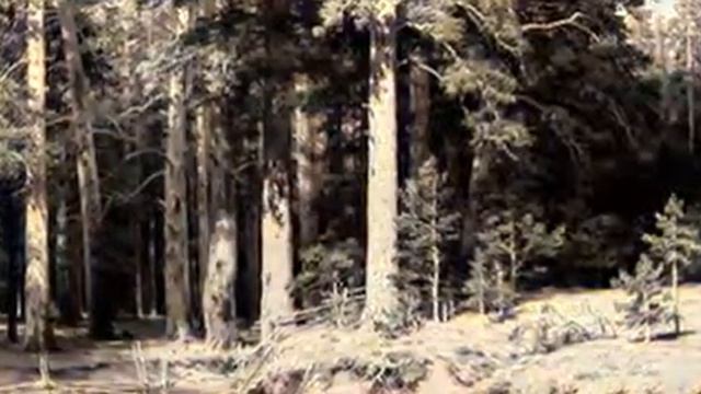 Картины И И Шишкина смотреть онлайн