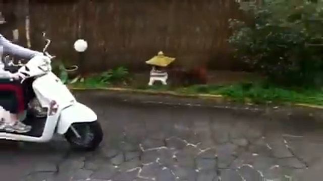 Rachel on her scooter смотреть онлайн