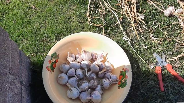 Готовим праздничный стол 