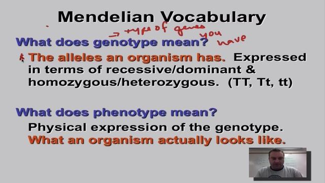 Chapter 11 Part 7 - Mendelian Vocabulary смотреть онлайн
