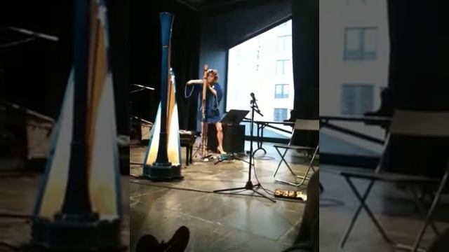 Zeena Parkins﻿ Performance from Christian Marclay's Whitney Festival 2010 смотреть онлайн