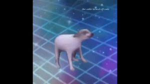 DANCE TILL YOU'RE DEAD