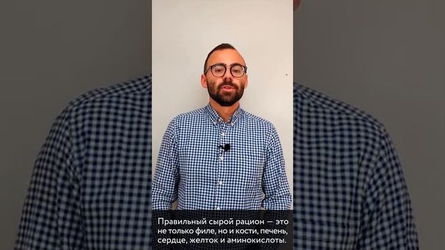 Миф #1. Кошкам нельзя сырое мясо ? смотреть онлайн