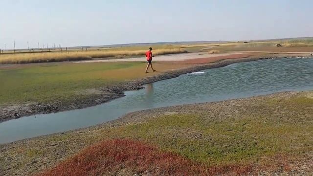 НАСТОЯЩИЙ ОГРОМНЫЙ ВОЗДУШНЫЙ ЗМЕЙ ИЗ БУМАГИ смотреть онлайн