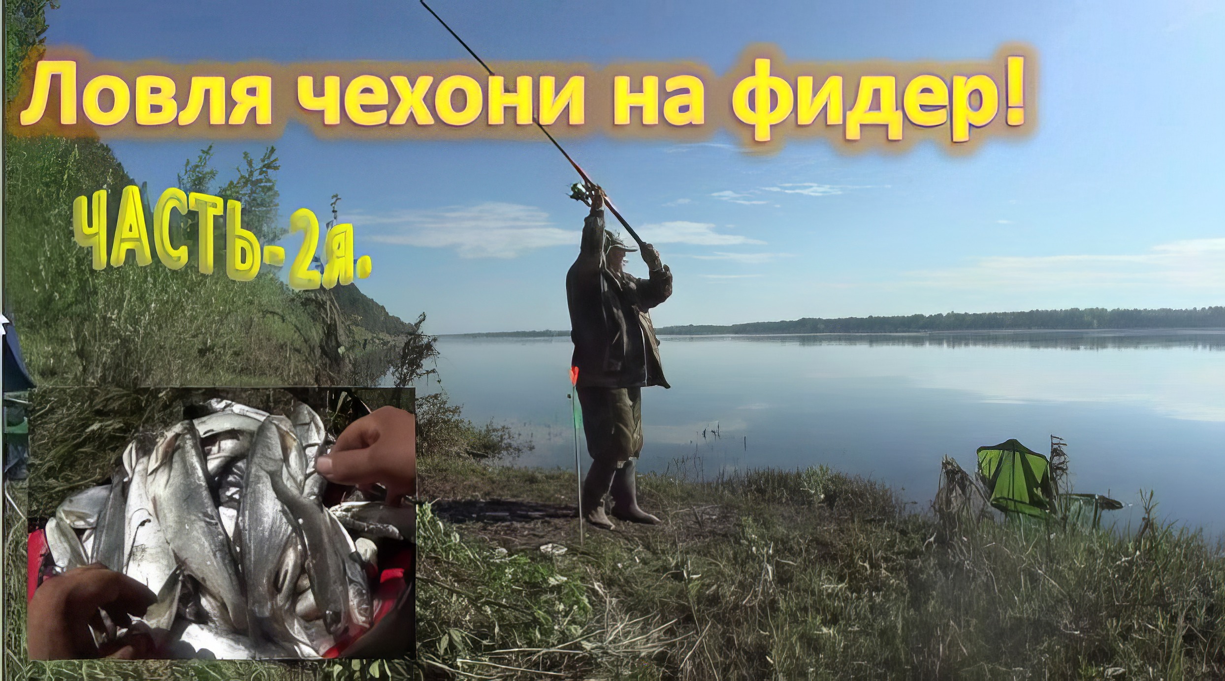 Часть -2я. Ловля чехони на фидер! смотреть онлайн