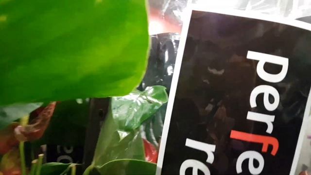 УЦЕНКА цветов в торговом центре 