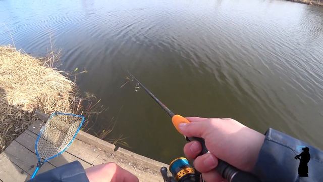 Щучка в Стрелецком Ручье смотреть онлайн