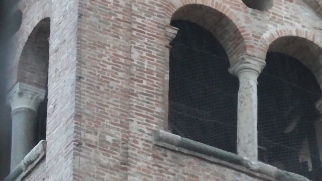 Le Campane del Tempio Malatestiano di Rimini смотреть онлайн