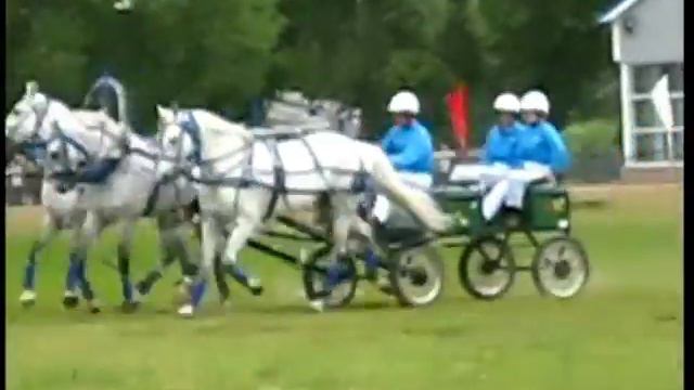 Тройка лошадей ! смотреть онлайн