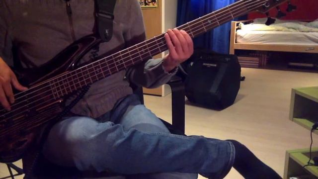Ibanez SR1305SB MGL Bass + Source Audio Spectrum Intelligent Filter (Passive) смотреть онлайн