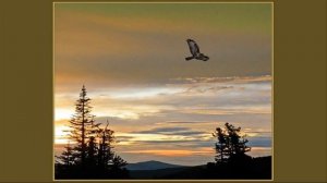 Сколот (Skolot) -  Волюшка (Volyushka) Песня Языческая