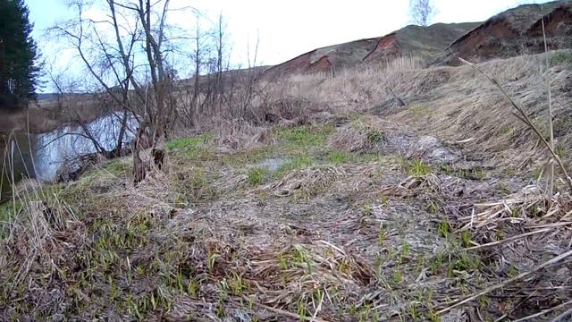 ⛺Поход с ночёвкой на речку Нерехта. Шквалистый ветер и собачий холод. смотреть онлайн