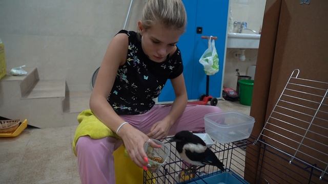 Птенец Сороки/ Первые Дни Дома смотреть онлайн