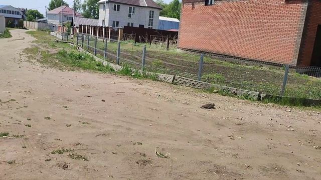 ВОДНОМОТОРНИКОВ ВЫГОНЯЮТ С БЕРЕГА В САМАРСКОЙ ОБЛАСТИ! смотреть онлайн