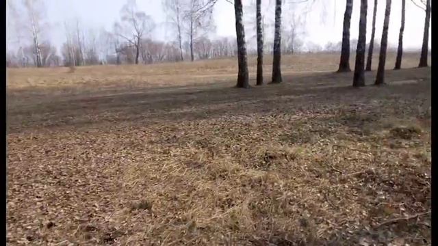 ПОЧЕМУ Я НЕ ЗНАКОМЛЮСЬ НА УЛИЦЕ:) 09.03.2017 смотреть онлайн