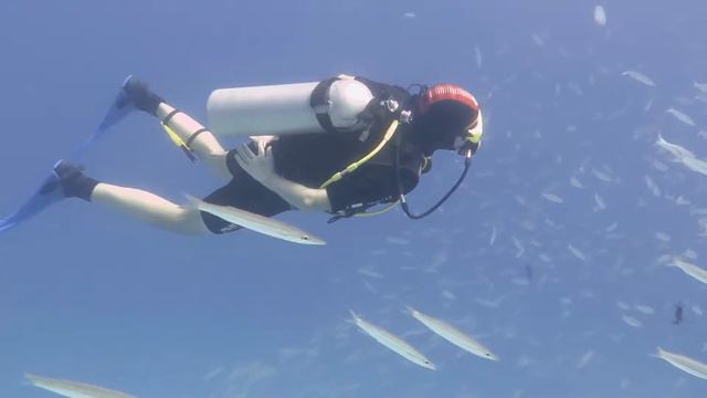 Phi Phi Lei diving смотреть онлайн