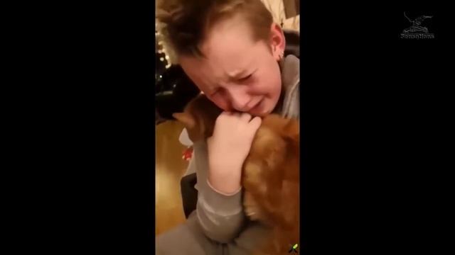 Встреча друзей мальчику вернули кота, который потерялся 7 месяцев назад смотреть онлайн