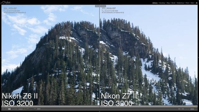 Nikon Z6 II vs Nikon Z7 II - Image Quality Review смотреть онлайн