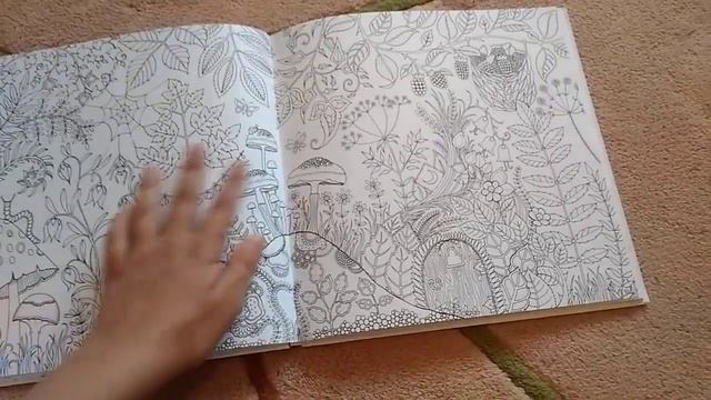 Обзор раскраски-антистресс Джоанны Басфорд / Зачарованный лес / Раскраска Джоанны Бесфорд смотреть онлайн