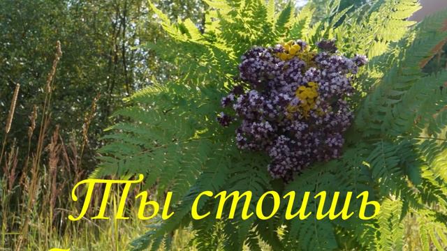 Ты стоишь босыми ногами на земле Сила Земли наполнение смотреть онлайн