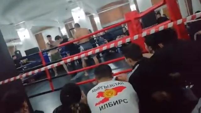 Москва. Абдымуса уулу Манас . Первый бой на проф . Проигрыш единогласном решении смотреть онлайн