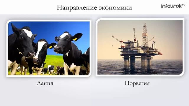 Регионы Европы Северная и Средняя Европа | География 7 класс #56 | Инфоурок смотреть онлайн