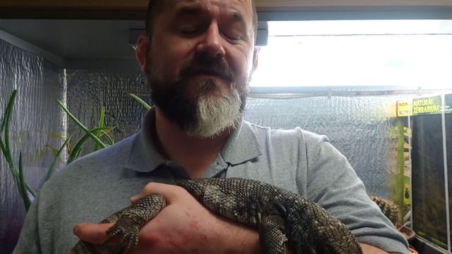 Snakes'N'Adders Reptile Advice : Episode 62 - Savannah Monitor Season смотреть онлайн