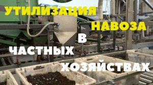 Как заработать на навозе. Бизнес на червях и биогумусе. Дендробена. Переработка навоза