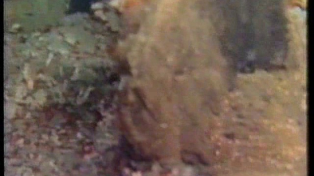 Без названия смотреть онлайн