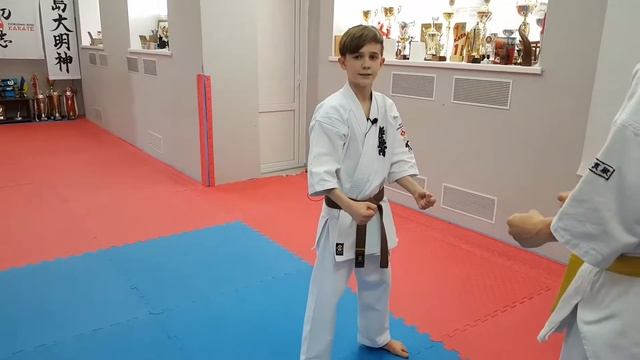 Базовые блоки в киокушин карате. Хиза гери. Часть 9. Kyokushin karate basic blocks.Hiza geri.Part 9 смотреть онлайн