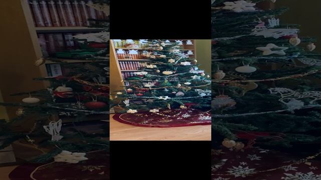 #shorts 20-02-2024 ?? #хэллоуин2024 #2024 #? смотреть онлайн