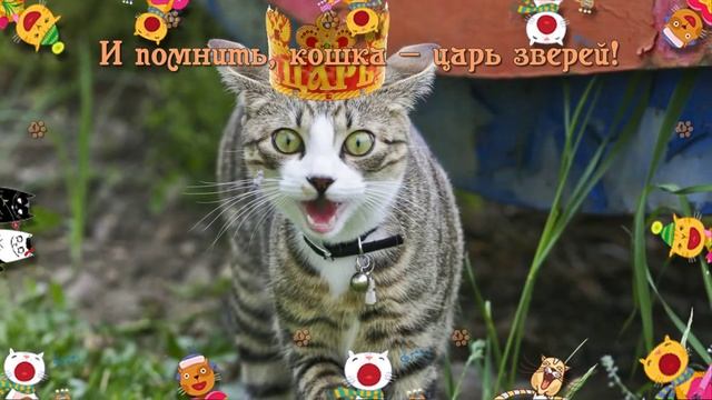 Друзья!С днем мартовских кошек и котов.mp4 смотреть онлайн
