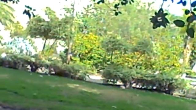 A walk through Kibbutz Ein Getti смотреть онлайн