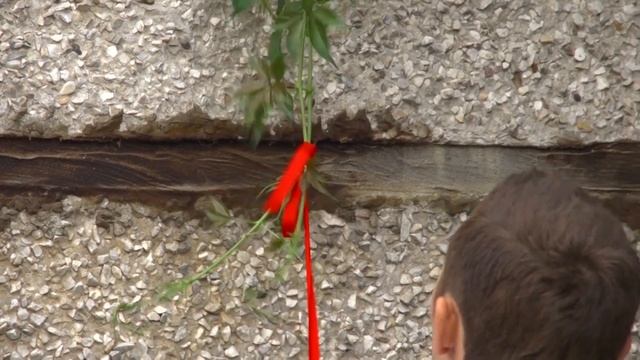 Выкуп найти невесту. смотреть онлайн