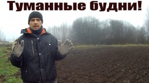 Привез гостей и делишки на стройке! Деревенские, осенние,  хмурые деньки!
