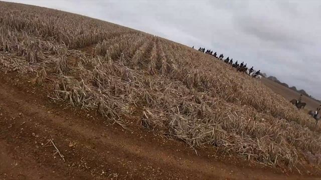 Last Bloodhound Meet of the Season - Galloping and Jumping over the Scenic Cotswolds | Equestrian смотреть онлайн