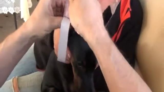 уши смотреть онлайн