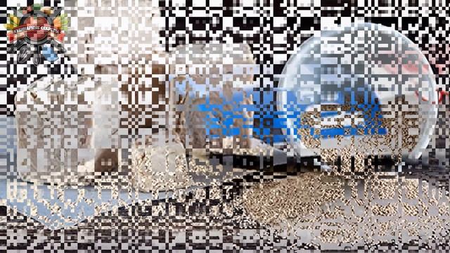 Всегда в ноябре «подкармливаю» комнатные цветы дрожжами: рассказываю, как я это делаю! смотреть онлайн