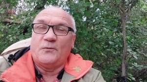 Почему погибла пасека в лесу. Не повторим эти ошибки.