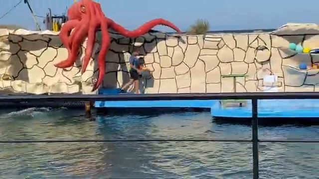 В шубе на море) Большой Утриш и дельфинарий. Долгожданный тренч под питона и много образов??? смотреть онлайн