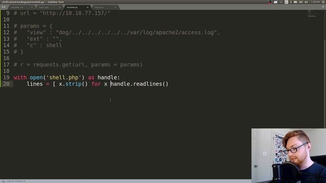TryHackMe! DOGCAT - PHP Filters for Local File Inclusion смотреть онлайн