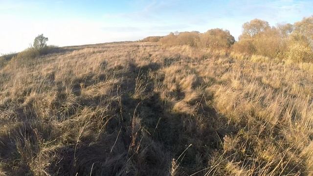 поиск второй утки смотреть онлайн