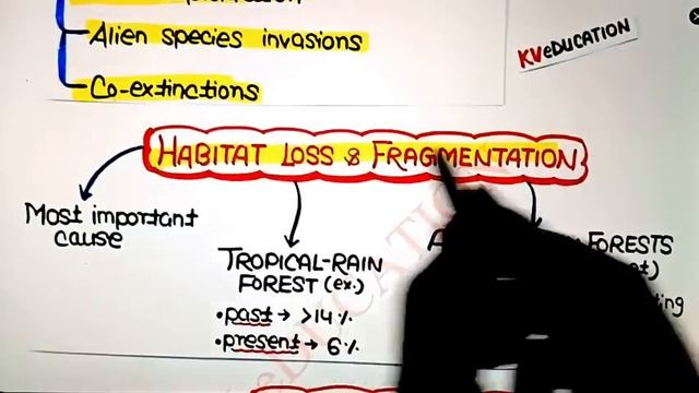 'Biodiversity & Its Conservation' In Just 16 Minutes?| Fastest Revision Series | Neet 2022 смотреть онлайн