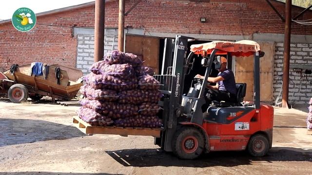 "Брянский герефорд" полтора года спустя. Просто Агроблог смотреть онлайн